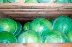 Як зберігати вино в домашніх умовах в пластикових пляшках і скляних банках (вино) Як зберігати вино в домашніх умовах в пластикових пляшках і скляних банках