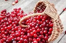 Як зберігати вино в домашніх умовах в пластикових пляшках і скляних банках (зберігати) Як зберігати вино в домашніх умовах в пластикових пляшках і скляних банках