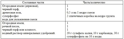 Як вирощувати розсаду помідорів, помідори будинку на підвіконні (помідор) Як вирощувати розсаду помідорів, помідори будинку на підвіконні