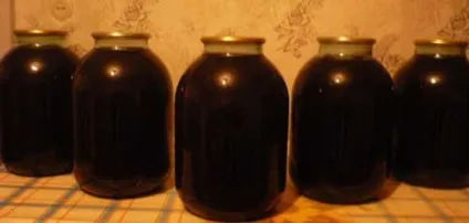 Як зберігати вино в домашніх умовах в пластикових пляшках і скляних банках (умовах) Як зберігати вино в домашніх умовах в пластикових пляшках і скляних банках