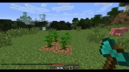 Як в minecraft виростити дерево без води (дерево) Як в minecraft виростити дерево без води