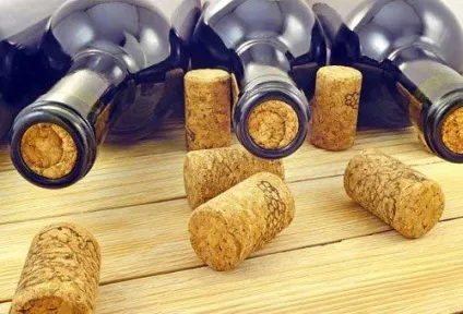 Як зберігати вино в домашніх умовах в пластикових пляшках і скляних банках (пляшках) Як зберігати вино в домашніх умовах в пластикових пляшках і скляних банках