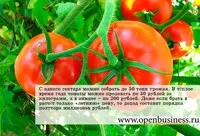 Як зареєструвати інтелектуальну власність (як зареєструвати інтелектуальну власність) Як зареєструвати інтелектуальну власність