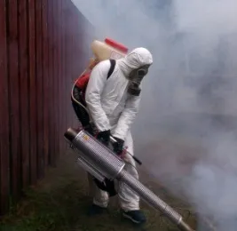 Як захиститися від постільних клопів профілактика в дії (дезінфекції дезінсекції дератизації) Як захиститися від постільних клопів профілактика в дії
