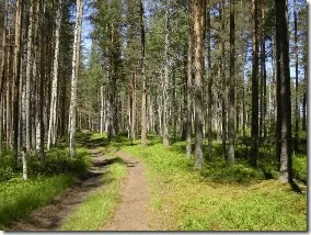 Як змусити вашу голову відпочивати (відпочивати) Як змусити вашу голову відпочивати
