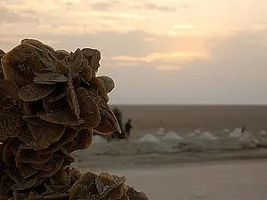 Кам'яні троянди пустелі цукру - ярмарок майстрів - ручна робота, handmade (троянда) Кам'яні троянди пустелі цукру - ярмарок майстрів - ручна робота, handmade