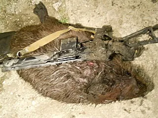 Як я полюю на бобрів - 3 - популярне зброю (зброю) Як я полюю на бобрів - 3 - популярне зброю