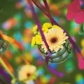карамельна весілля