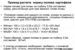 Крапельний полив картоплі своїми руками (своїми) Крапельний полив картоплі своїми руками