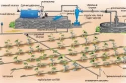 Крапельний полив картоплі своїми руками (картоплі) Крапельний полив картоплі своїми руками