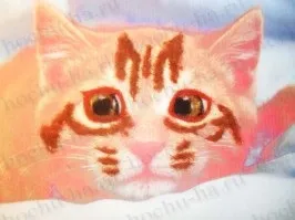 Картина з вовни - кошеня (кошеня) Картина з вовни - кошеня