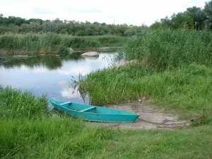 Картопля в фользі на багатті, як запекти картоплю в фользі на багатті (картопля) Картопля в фользі на багатті, як запекти картоплю в фользі на багатті