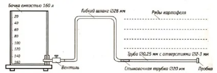 Крапельний полив картоплі, проста система (бочки пластикову трубу) Крапельний полив картоплі, проста система