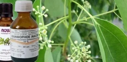 Камфорне масло застосування в вухо дітям, інструкція, компрес при кашлі, відгуки (інструкція) Камфорне масло застосування в вухо дітям, інструкція, компрес при кашлі, відгуки