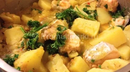 Картопля тушкована з свининою в мультиварці Редмонд (мультиварці) Картопля тушкована з свининою в мультиварці Редмонд