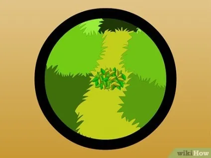 Як спіймати дикого кролика