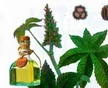 Кетамін для очищення кишечника відгуки, як приймати касторку, інструкція із застосування,