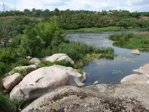 Картопля в фользі на багатті, як запекти картоплю в фользі на багатті (запекти) Картопля в фользі на багатті, як запекти картоплю в фользі на багатті