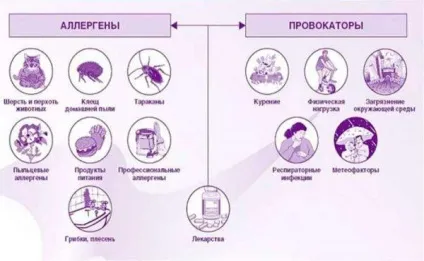 Кашель при алергії симптоми і лікування у дорослих і дітей народними засобами в домашніх умовах (дітей) Кашель при алергії симптоми і лікування у дорослих і дітей народними засобами в домашніх умовах