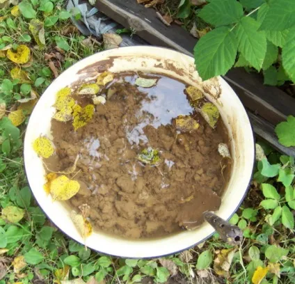 Кладка печі для лазні як класти своїми руками, укладання каменів, схема, відео-інструкція, фото (класти) Кладка печі для лазні як класти своїми руками, укладання каменів, схема, відео-інструкція, фото