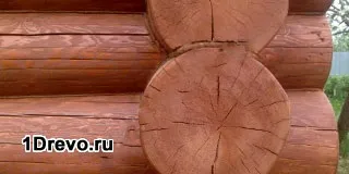 Коли обробляти зруб антисептиком особливості покриття, вибір засобу (обробляти) Коли обробляти зруб антисептиком особливості покриття, вибір засобу