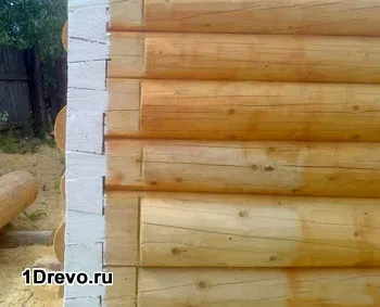Коли обробляти зруб антисептиком особливості покриття, вибір засобу (антисептиком) Коли обробляти зруб антисептиком особливості покриття, вибір засобу