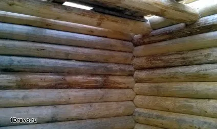 Коли обробляти зруб антисептиком особливості покриття, вибір засобу (вибір) Коли обробляти зруб антисептиком особливості покриття, вибір засобу