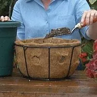 Контейнерний сад своїми руками
