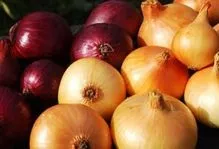 Цукерки без цукру - простий рецепт, корисні продукти харчування