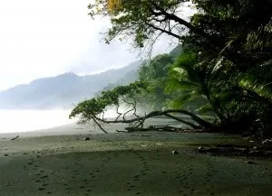 Корковадо, corcovado national park
