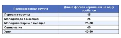Годівниці для свиней бункерного типу, зроблені своїми руками, ніпельні поїлки і корито, відео (руками) Годівниці для свиней бункерного типу, зроблені своїми руками, ніпельні поїлки і корито, відео