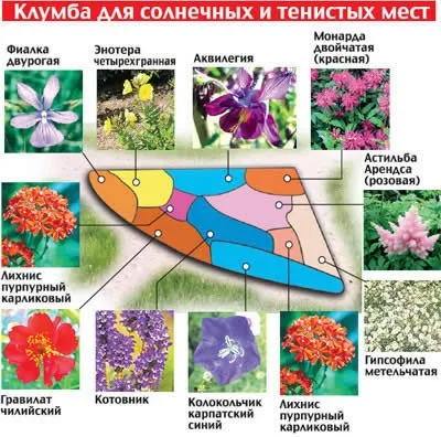 Красиві ділянки своїми руками ідеї