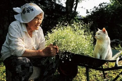 Кот і його бабуся