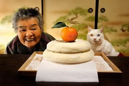 Кот і його бабуся