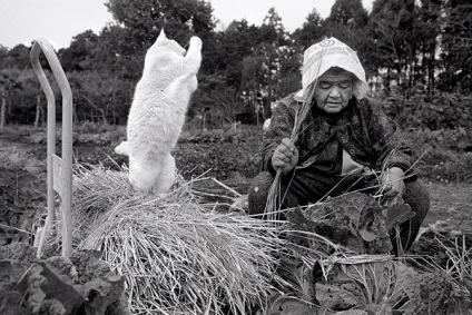 Кот і його бабуся