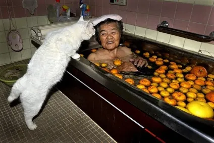Кот і його бабуся