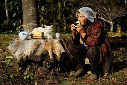 Кот і його бабуся