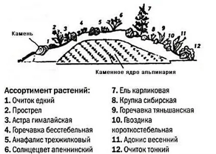 Красиві ділянки своїми руками ідеї