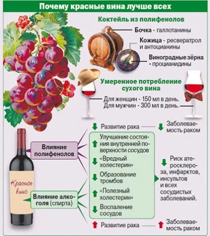 Червоне сухе вино - користь і шкода (сухе) Червоне сухе вино - користь і шкода