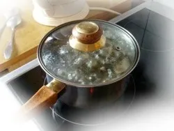 Хто сказав, що опеньки НЕ гриби