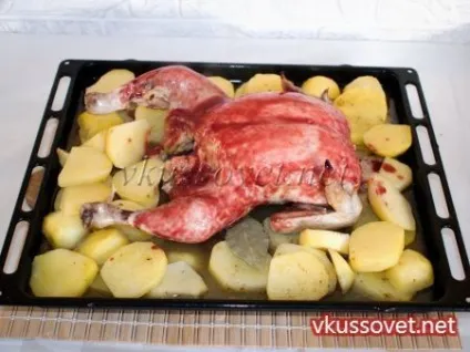 Курка під соусом в духовці, рецепт з покроковими фото (курка запечена) Курка під соусом в духовці, рецепт з покроковими фото