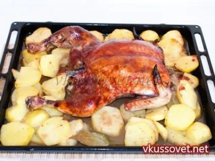 Курка під соусом в духовці, рецепт з покроковими фото (духовці) Курка під соусом в духовці, рецепт з покроковими фото