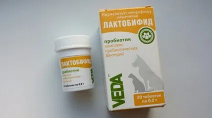 Лактобіфід для собак інструкція по застосувати, склад, відгуки, все про собак (собак) Лактобіфід для собак інструкція по застосувати, склад, відгуки, все про собак