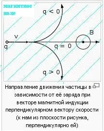 Лемешко андрей