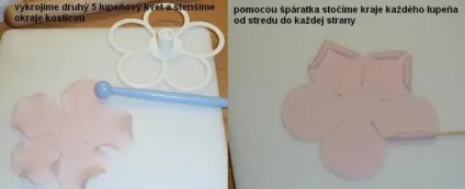 Ліпимо троянди з цукрової мастики (мастики) Ліпимо троянди з цукрової мастики