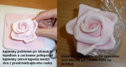 Ліпимо троянди з цукрової мастики (цукрова мастика) Ліпимо троянди з цукрової мастики