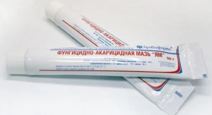 Лікування вульвита маззю у жінок