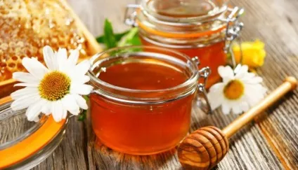 Денний стаціонар медом при сечокам'яній хворобі (лікування) Денний стаціонар медом при сечокам'яній хворобі