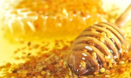 Лікування простатиту продуктами бджільництва рецепти, висновки (простатиту) Лікування простатиту продуктами бджільництва рецепти, висновки