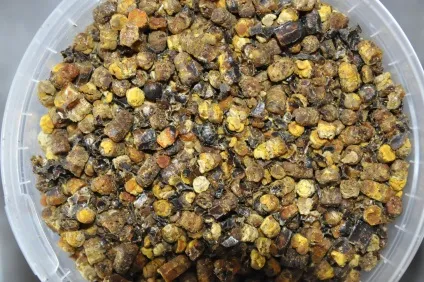 Лікування бджолами простатиту, використання продуктів бджільництва (прополіс, перга, пилок, підмор,